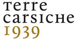 Terrecarsiche