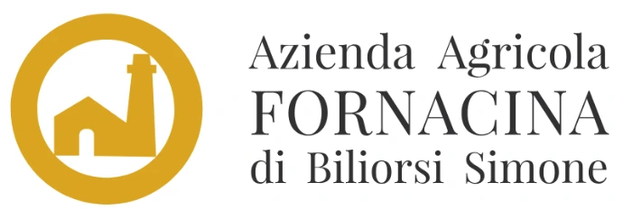 Fornacina