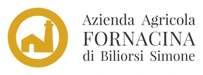 Fornacina